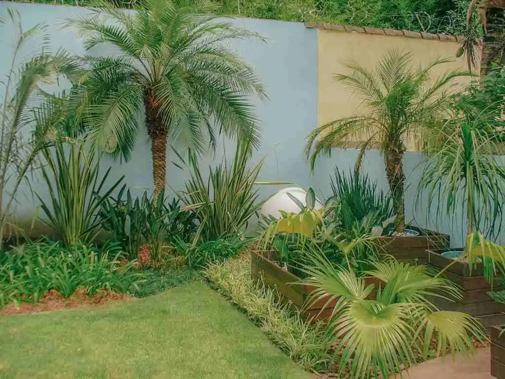 Arquiteto em Caraguatatuba